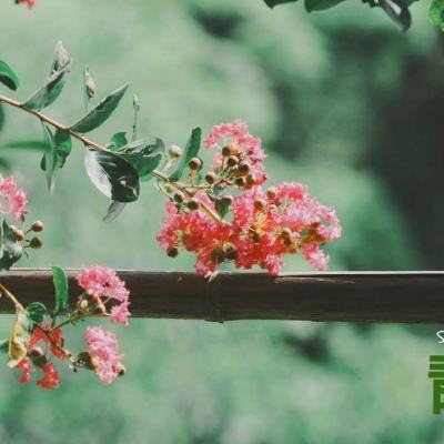 云开·全站中国官方网站